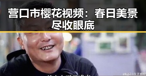 营口市樱花视频：春日美景尽收眼底