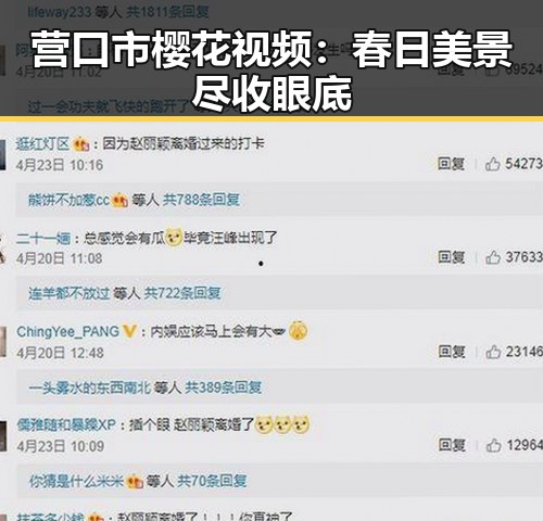营口市樱花视频:春日美景尽收眼底