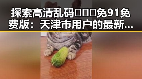 探索高清乱码🔞❌♋免91免费版：天津市用户的最新体验