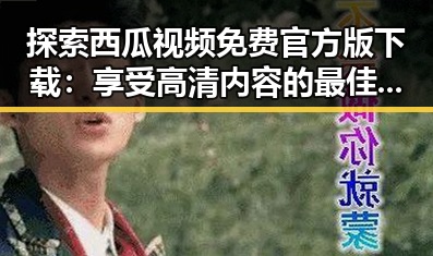 探索西瓜视频免费官方版下载：享受高清内容的最佳选择