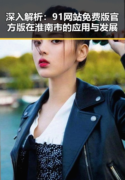深入解析：91网站免费版官方版在淮南市的应用与发展
