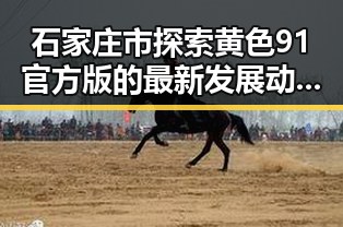 石家庄市探索黄色91官方版的最新发展动态
