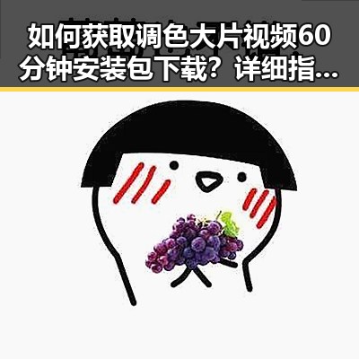 如何获取调色大片视频60分钟安装包下载?详细指南在这里