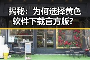 揭秘：为何选择黄色软件下载官方版？