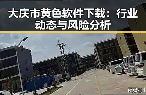 大庆市黄色软件下载：行业动态与风险分析