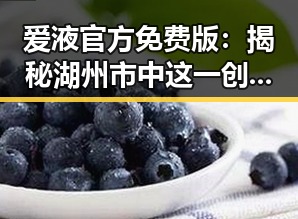 爱液官方免费版:揭秘湖州市中这一创新平台的背后故事