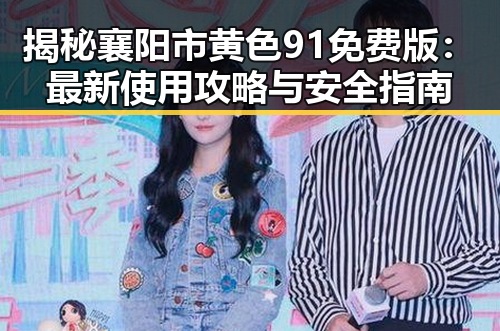 揭秘襄阳市黄色91免费版：最新使用攻略与安全指南
