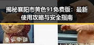 揭秘襄阳市黄色91免费版：最新使用攻略与安全指南