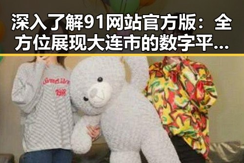 深入了解91网站官方版：全方位展现大连市的数字平台优势