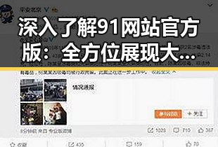 深入了解91网站官方版：全方位展现大连市的数字平台优势