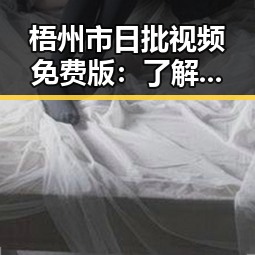 梧州市日批视频免费版:了解最新资源与安全指南