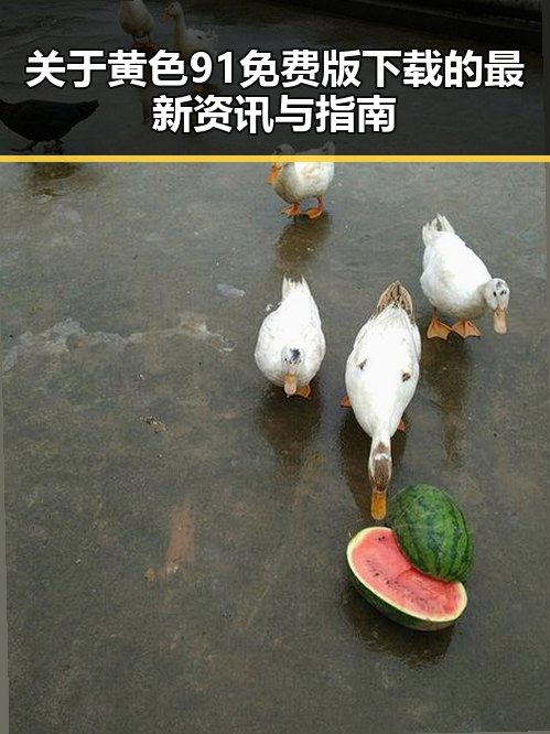 关于黄色91免费版下载的最新资讯与指南