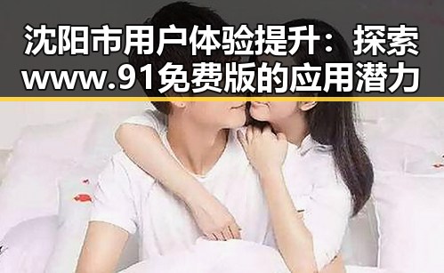 沈阳市用户体验提升:探索www.91免费版的应用潜力