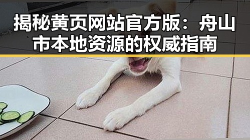 揭秘黄页网站官方版:舟山市本地资源的权威指南