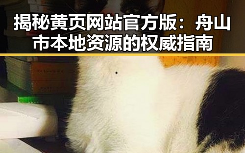 揭秘黄页网站官方版:舟山市本地资源的权威指南