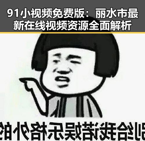 91小视频免费版：丽水市最新在线视频资源全面解析
