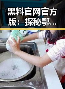 黑料 官网官方版：探秘鄂尔多斯市娱乐新闻平台