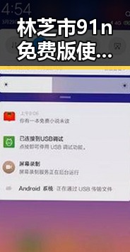 林芝市91n免费版使用指南与资源介绍