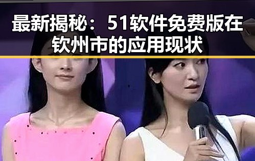 最新揭秘：51软件免费版在钦州市的应用现状