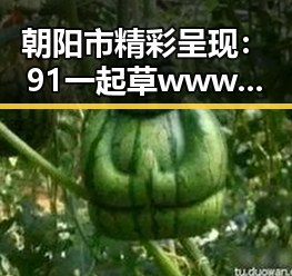 朝阳市精彩呈现：91 一起草wwwcom17免费版全新体验