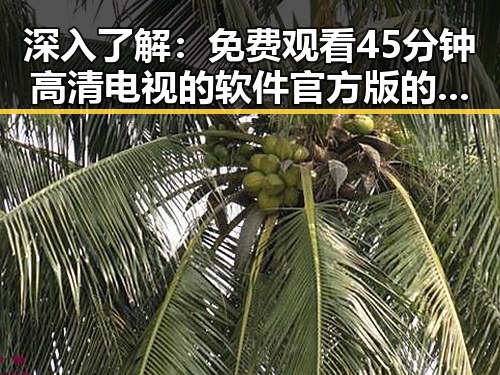 深入了解: 免费观看45分钟高清电视的软件官方版的现状与分析