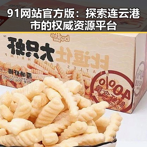 91网站官方版:探索连云港市的权威资源平台