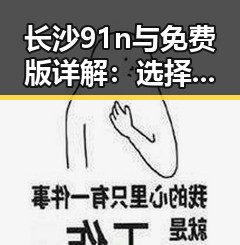 长沙91n与免费版详解:选择合适版本的关键指南