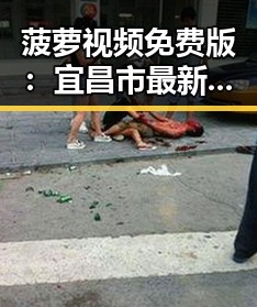 菠萝视频免费版:宜昌市最新免费视频资源介绍