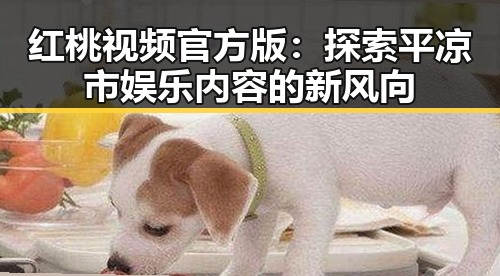 红桃视频官方版：探索平凉市娱乐内容的新风向