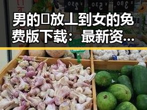 男的🈚放丄到女的免费版下载：最新资源介绍与安全指南