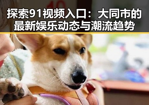 探索91视频入口:大同市的最新娱乐动态与潮流趋势