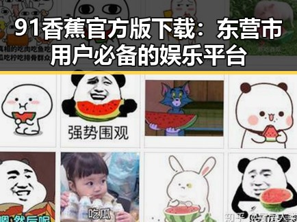 91香蕉官方版下载:东营市用户必备的娱乐平台