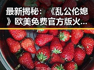 最新揭秘:《乱公伦媳》欧美免费官方版火热上线,眉山市玩家热烈追捧