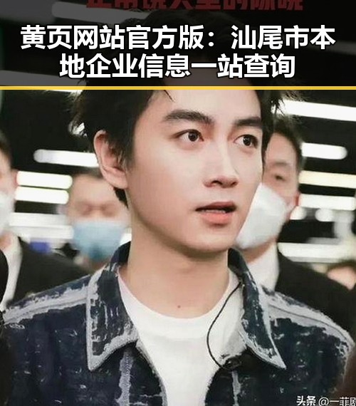 黄页网站官方版：汕尾市本地企业信息一站查询