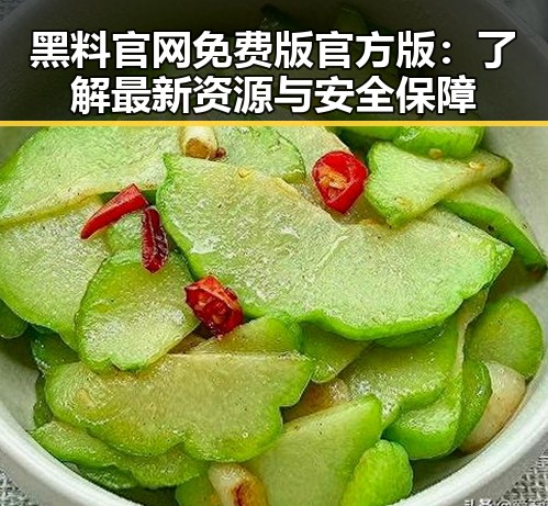 黑料 官网免费版官方版：了解最新资源与安全保障