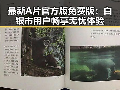 最新A片官方版免费版:白银市用户畅享无忧体验