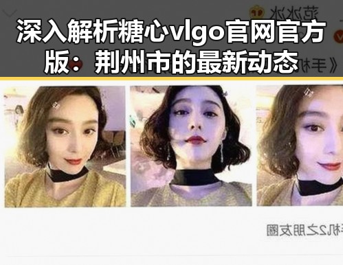 深入解析糖心vlgo官网官方版:荆州市的最新动态