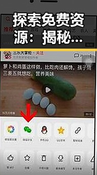探索免费资源:揭秘羞羞漫画免费版官方版的最新动向
