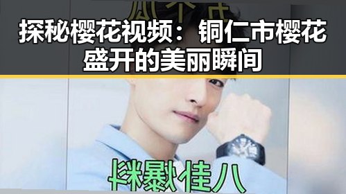 探秘樱花视频：铜仁市樱花盛开的美丽瞬间