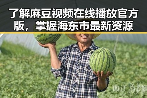 了解麻豆视频在线播放官方版,掌握海东市最新资源