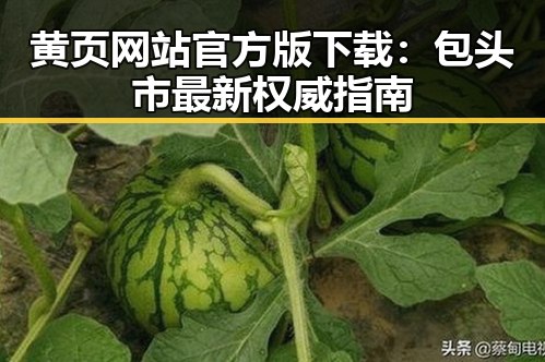 黄页网站官方版下载:包头市最新权威指南
