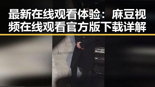 最新在线观看体验:麻豆视频在线观看官方版下载详解