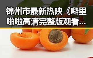 锦州市最新热映《噼里啪啦高清完整版观看官方版》全网独家资源推荐