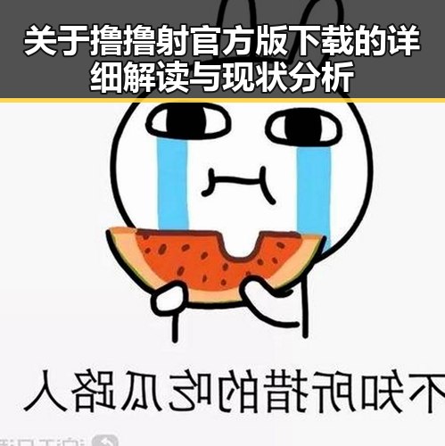 关于撸撸射官方版下载的详细解读与现状分析