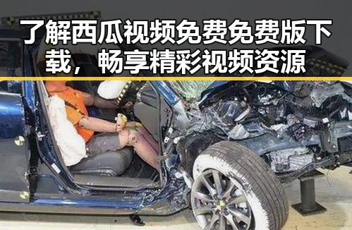 了解西瓜视频免费免费版下载,畅享精彩视频资源