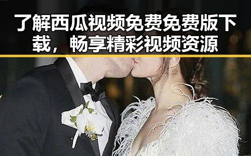 了解西瓜视频免费免费版下载,畅享精彩视频资源