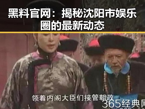 黑料 官网:揭秘沈阳市娱乐圈的最新动态