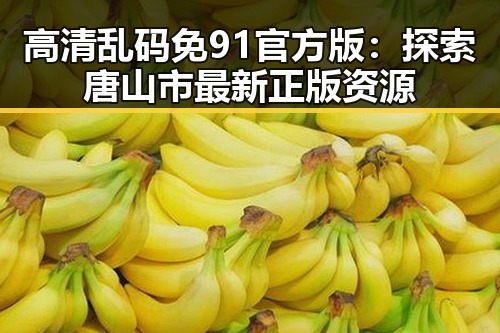 高清乱码免91官方版：探索唐山市最新正版资源
