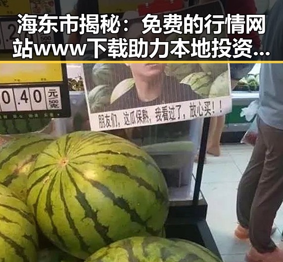 海东市揭秘:免费的行情网站www下载助力本地投资者
