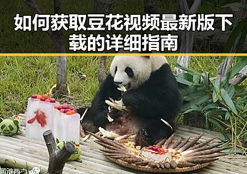 如何获取豆花视频最新版下载的详细指南